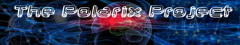 The Polarix Project